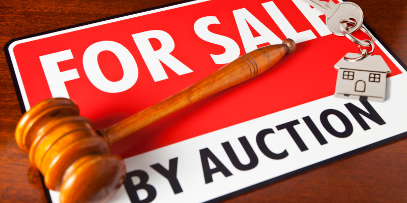 County Sales Auction in Davidson County, NC